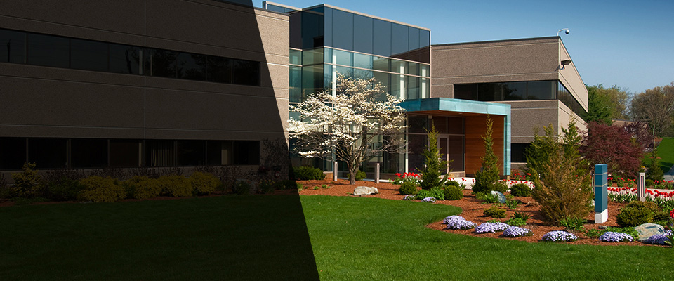 Black Mountain Landscapers