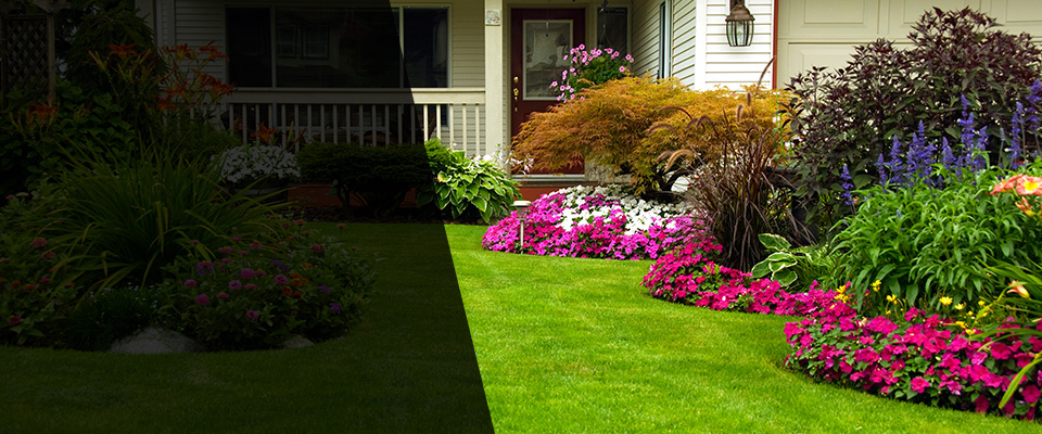 Black Mountain Landscapers