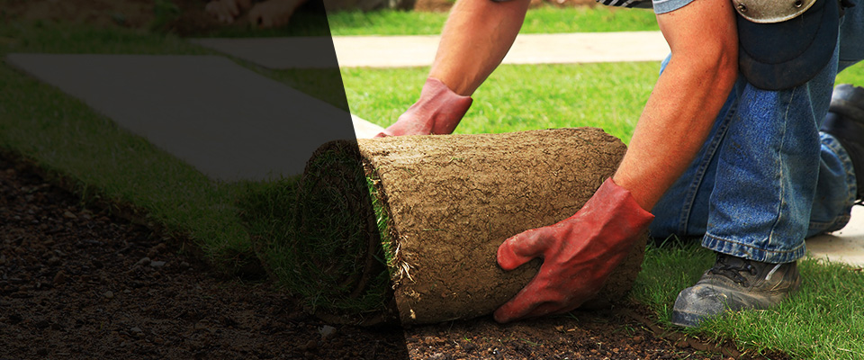 Black Mountain Landscapers